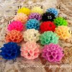 4 Mixed colors -you choose ..