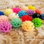 8 Mixed colors -you choose ..